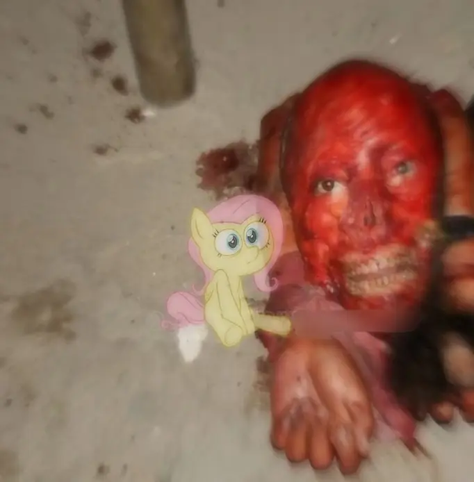 pony